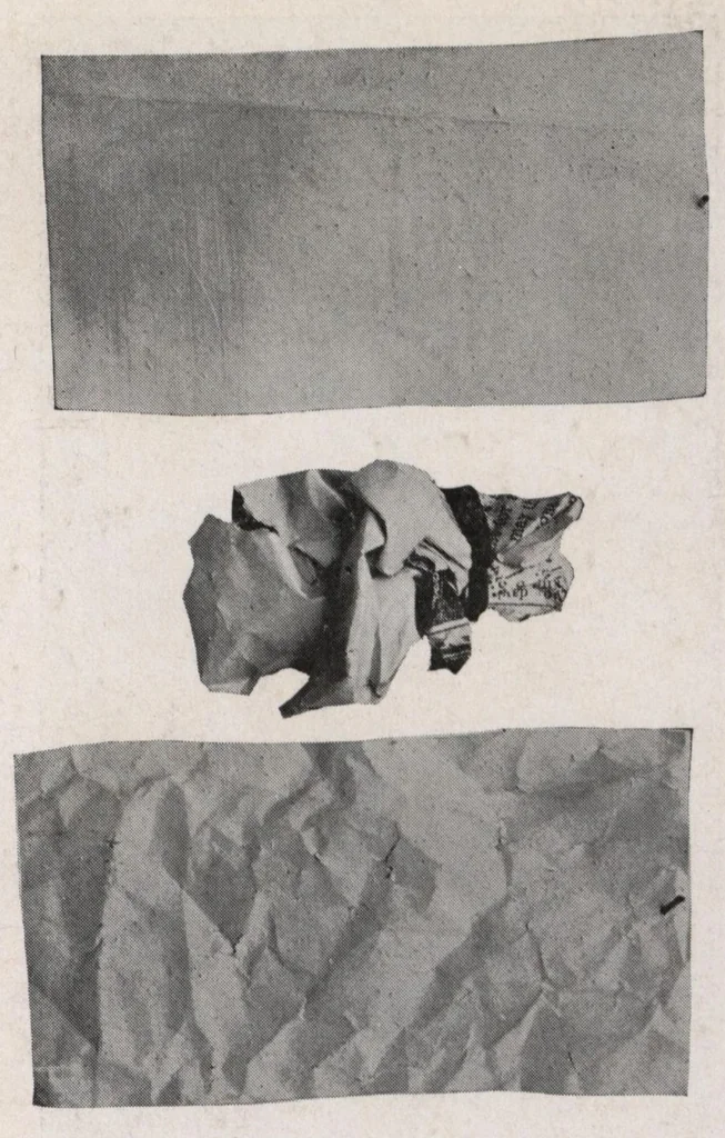An illustration from Velumina wallhide and its application., 1929, leaf 6