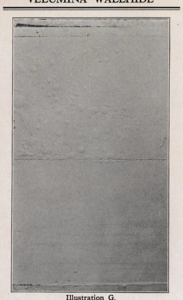 An illustration from Velumina wallhide and its application., 1929, leaf 7