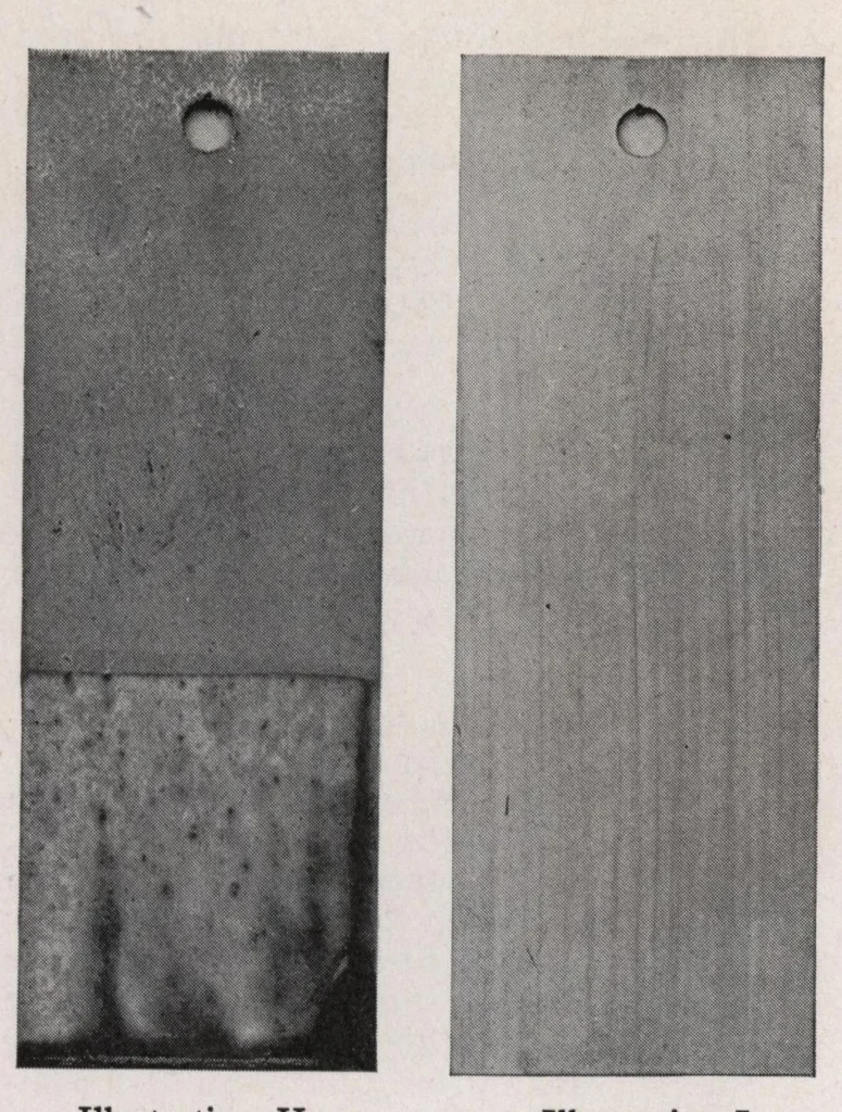 An illustration from Velumina wallhide and its application., 1929, leaf 9