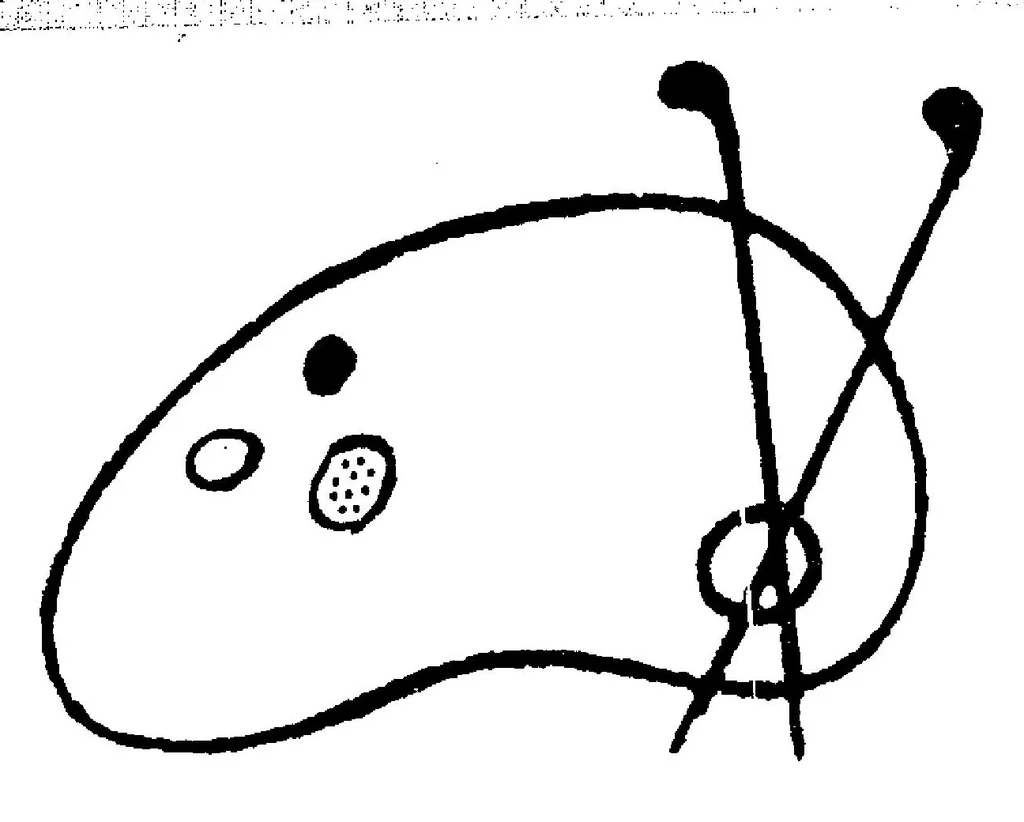 An illustration from La Jangada, huit cents lieues sur l'Amazone. [De Rotterdam à Copenhague, à bord du yacht à vapeur "Saint-Michel", 1881, leaf 5
