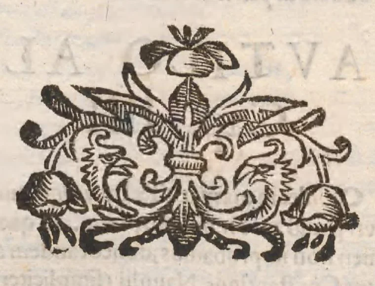 An illustration from Vlyssis Aldrovandi ... De reliquis animalibus exanguibus libri quatuor, post mortem eius editi : nempe de mollibvs, crvstaceis, testaceis et zoophytis, 1642, leaf 270