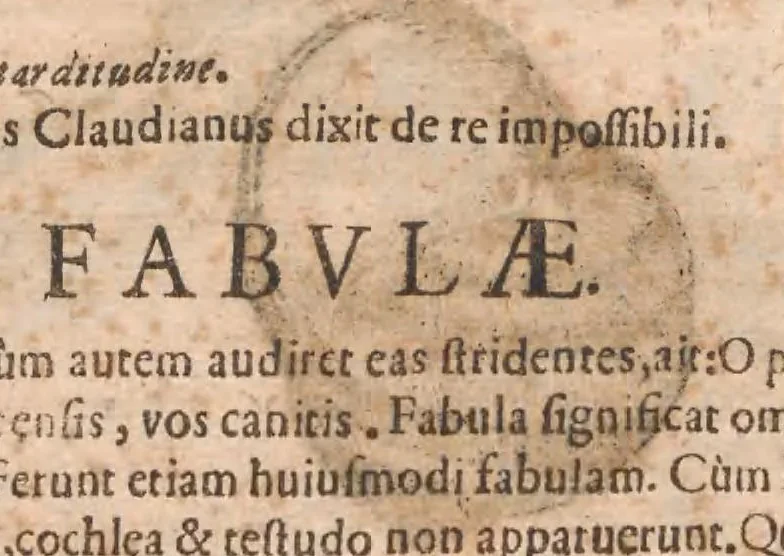An illustration from Vlyssis Aldrovandi ... De reliquis animalibus exanguibus libri quatuor, post mortem eius editi : nempe de mollibvs, crvstaceis, testaceis et zoophytis, 1642, leaf 395