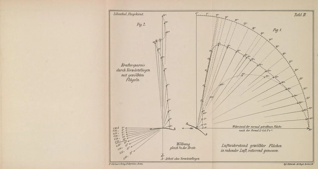 An illustration from Der Vogelflug als Grundlage der Fliegekunst : ein Beitrag zur Systematik der Flugtechnik, 1889, leaf 217