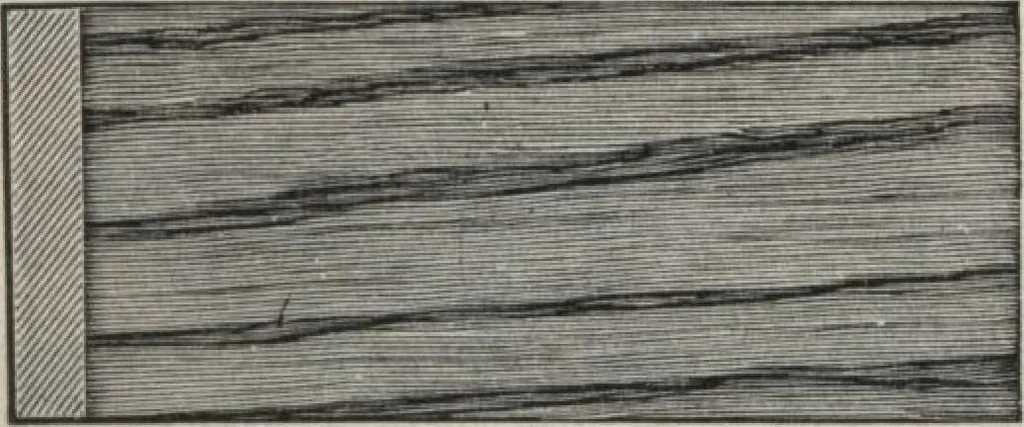 An illustration from Wall paper for every home, 1916, 1916, leaf 12