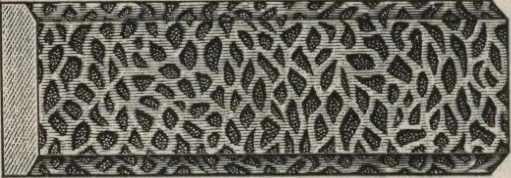 An illustration from Wall paper for every home, 1916, 1916, leaf 13