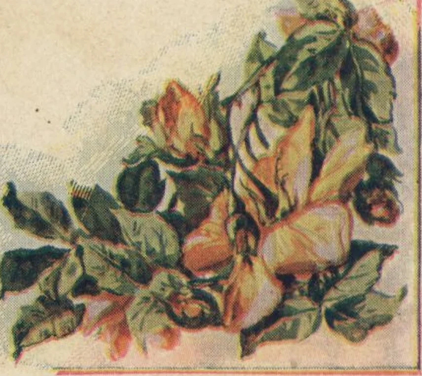 An illustration from Wall papers and cretonnes, 1911, 1911, leaf 5