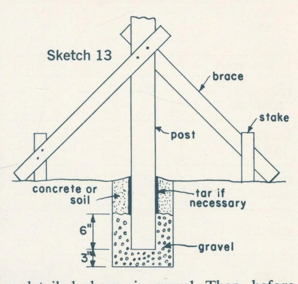 An illustration from Create better living with fencing in your yard, 1960, leaf 6