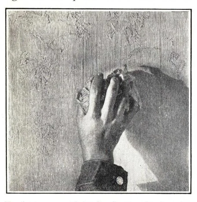 An illustration from White lead and oil plastic finishes., 1930, leaf 12
