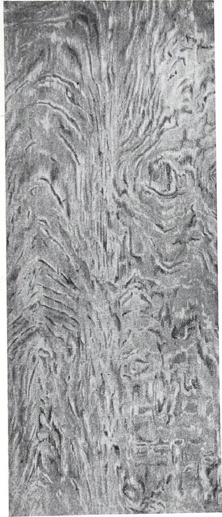 An illustration from Woodwork of Quality, 1920, leaf 62