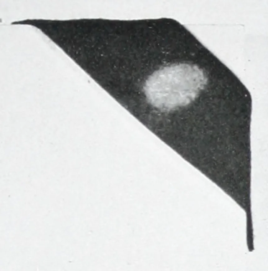 An illustration from Zinc oxide and its application to paint / by L.H. Trott., 1928, leaf 10