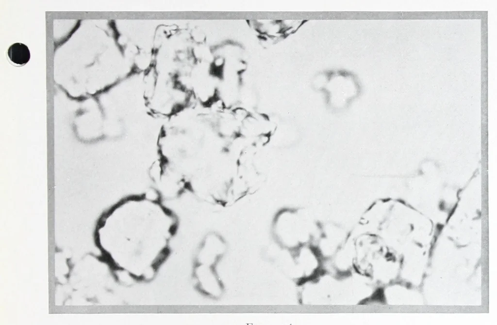 An illustration from Zinc oxide and its application to paint / by L.H. Trott., 1928, leaf 6