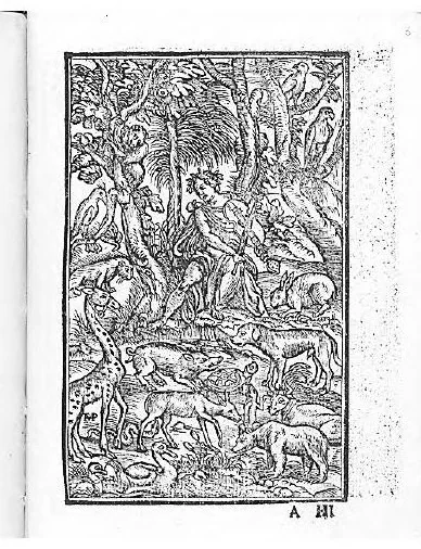 An illustration from Conuiuio delle belle donne. Dove con li nuovi raccami lavorieri con giusta misura, 1532, leaf 1