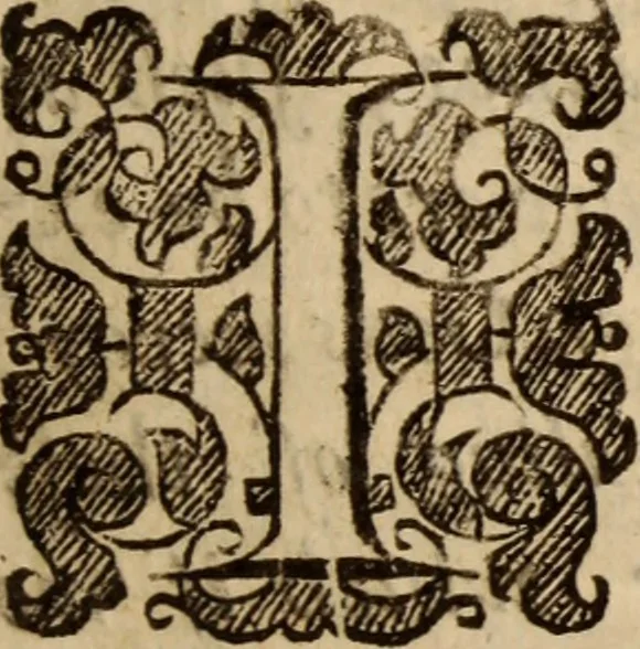 An illustration from Aarons rod blossoming, or, the divine ordinance of church government vindicated ..., 1646, leaf 10