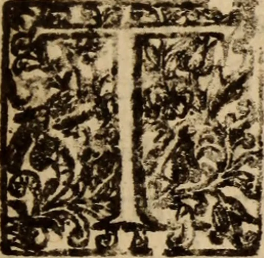 An illustration from Aarons rod blossoming, or, the divine ordinance of church government vindicated ..., 1646, leaf 6