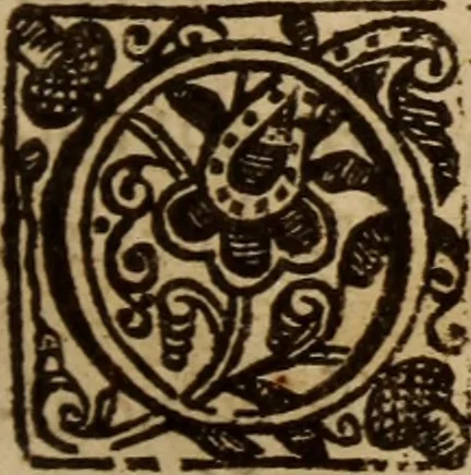 An illustration from Aarons rod blossoming, or, the divine ordinance of church government vindicated ..., 1646, leaf 84