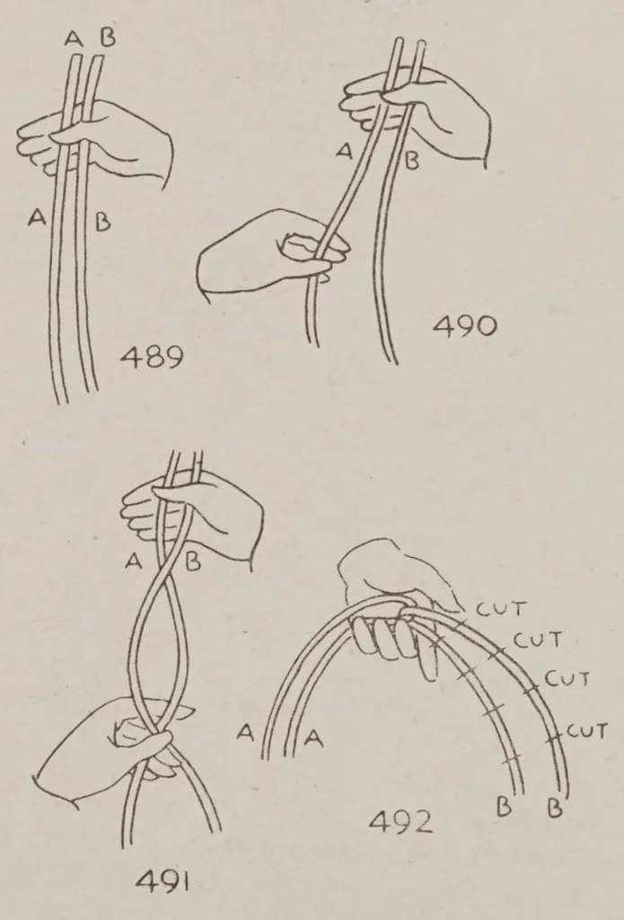 An illustration from Abbott's encyclopedia of rope tricks, 1900, leaf 499