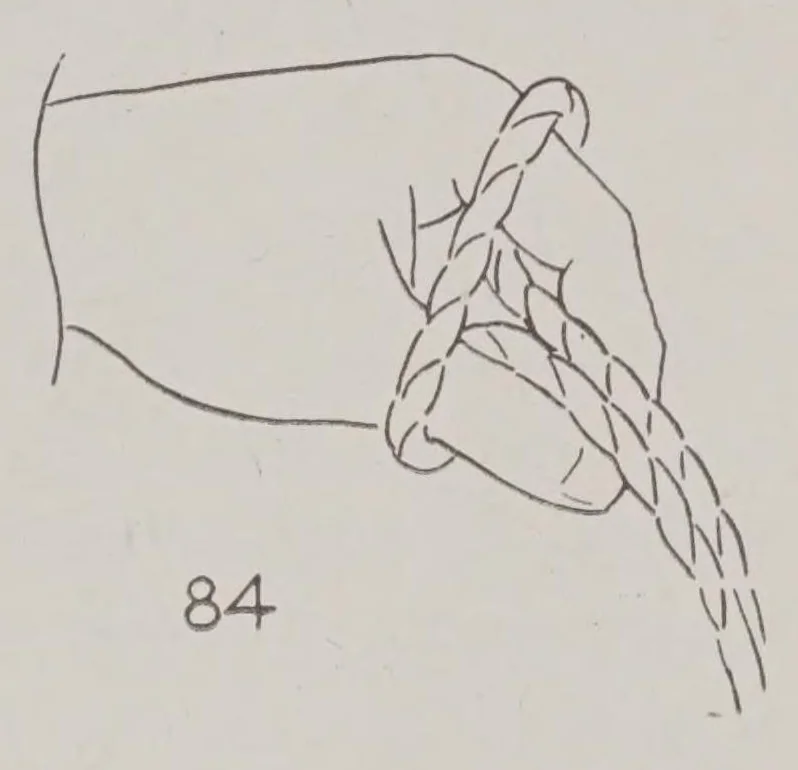 An illustration from Abbott's encyclopedia of rope tricks, 1900, leaf 69