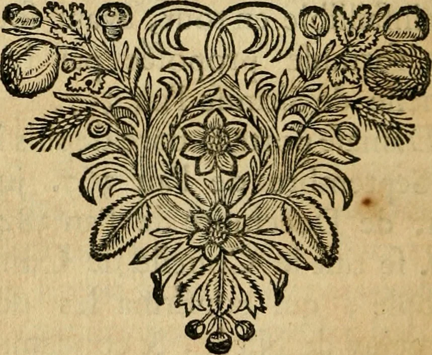 An illustration from Abbregé chronologique, ou Extraict de l'histoire de France, 1676, leaf 57