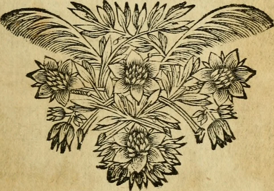 An illustration from Abbregé chronologique, ou Extraict de l'histoire de France, 1676, leaf 86