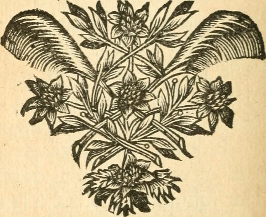 An illustration from Abbregé chronologique, ou Extraict de l'histoire de France, 1676, leaf 353