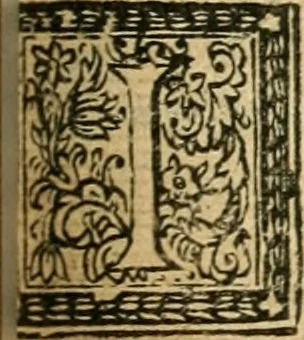 An illustration from Abbregé chronologique, ou Extraict de l'histoire de France, 1676, leaf 362
