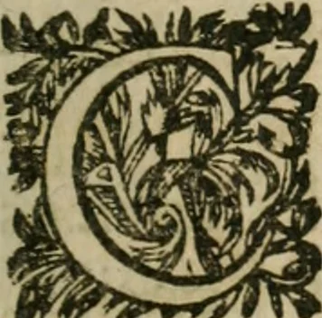 An illustration from Abbrégé de la jurisprudence romaine : avec son rapport à ce qui est de notre usage, 1653, leaf 28