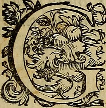 An illustration from Abcedario pittorico : nel quale compendiosamente sono descritte le patrie, i maestri, ed i tempi, ne' quali fiorirono circa quattro mila professori di pittura, di scultura, e d'architettura : diviso in tre parti ..., 1704, leaf 20