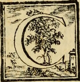 An illustration from Abcedario pittorico : nel quale compendiosamente sono descritte le patrie, i maestri, ed i tempi, ne' quali fiorirono circa quattro mila professori di pittura, di scultura, e d'architettura : diviso in tre parti ..., 1704, leaf 29