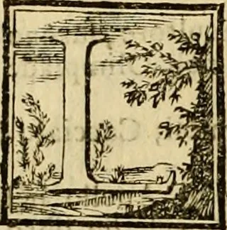 An illustration from Abcedario pittorico : nel quale compendiosamente sono descritte le patrie, i maestri, ed i tempi, ne' quali fiorirono circa quattro mila professori di pittura, di scultura, e d'architettura : diviso in tre parti ..., 1704, leaf 41