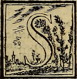 An illustration from Abcedario pittorico : nel quale compendiosamente sono descritte le patrie, i maestri, ed i tempi, ne' quali fiorirono circa quattro mila professori di pittura, di scultura, e d'architettura : diviso in tre parti ..., 1704, leaf 52