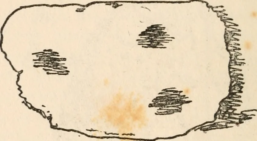 An illustration from The ABC of collecting old English china, giving short history of the English factories, and showing how to apply tests for unmarked china before 1800, 1908, leaf 71