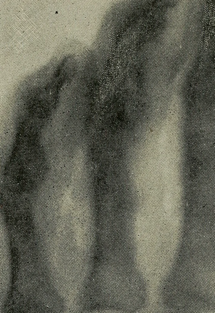 An illustration from The ABC of the X rays, 1896, leaf 169