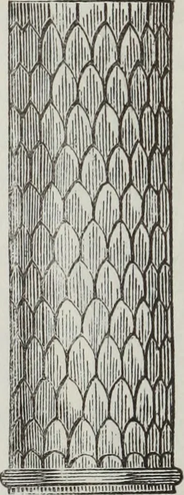 An illustration from Abécédaire, ou, Rudiment d'archéologie : architecture religieuse, 1886, leaf 211