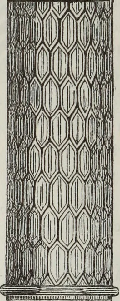 An illustration from Abécédaire, ou, Rudiment d'archéologie : architecture religieuse, 1886, leaf 211
