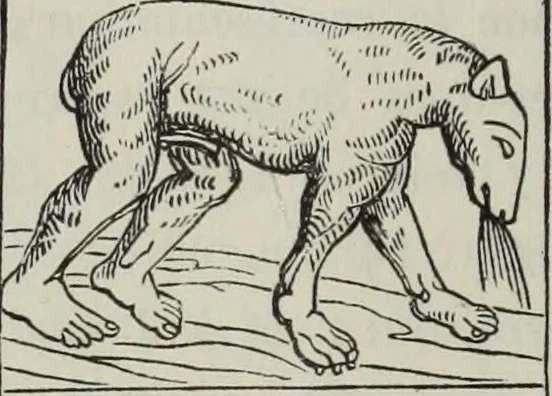 An illustration from Abécédaire, ou, Rudiment d'archéologie : architecture religieuse, 1886, leaf 289