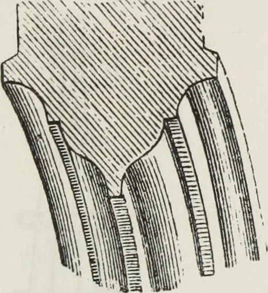 An illustration from Abécédaire, ou, Rudiment d'archéologie : architecture religieuse, 1886, leaf 670