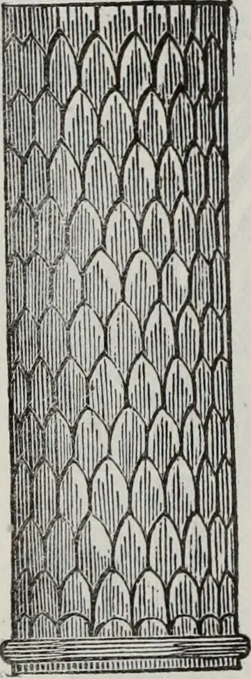 An illustration from Abecedaire ou rudiment d'archelogie : architecture religieuse ..., 1867, leaf 213