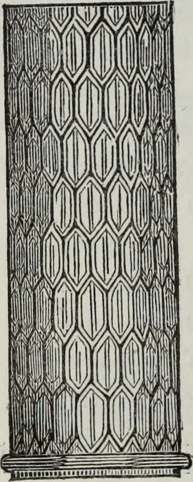 An illustration from Abecedaire ou rudiment d'archelogie : architecture religieuse ..., 1867, leaf 213
