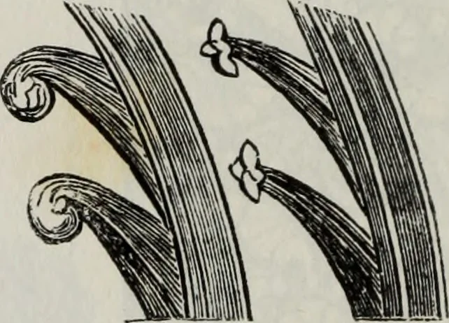 An illustration from Abecedaire ou rudiment d'archelogie : architecture religieuse ..., 1867, leaf 427