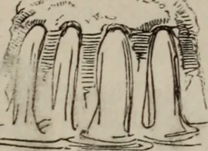 An illustration from Abecedaire ou rudiment d'archelogie : architecture religieuse ..., 1867, leaf 54