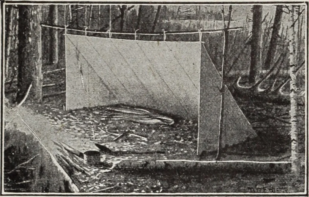 An illustration from Abercrombie & Fitch Co., New York : outfitting catalogue., 1916, leaf 11