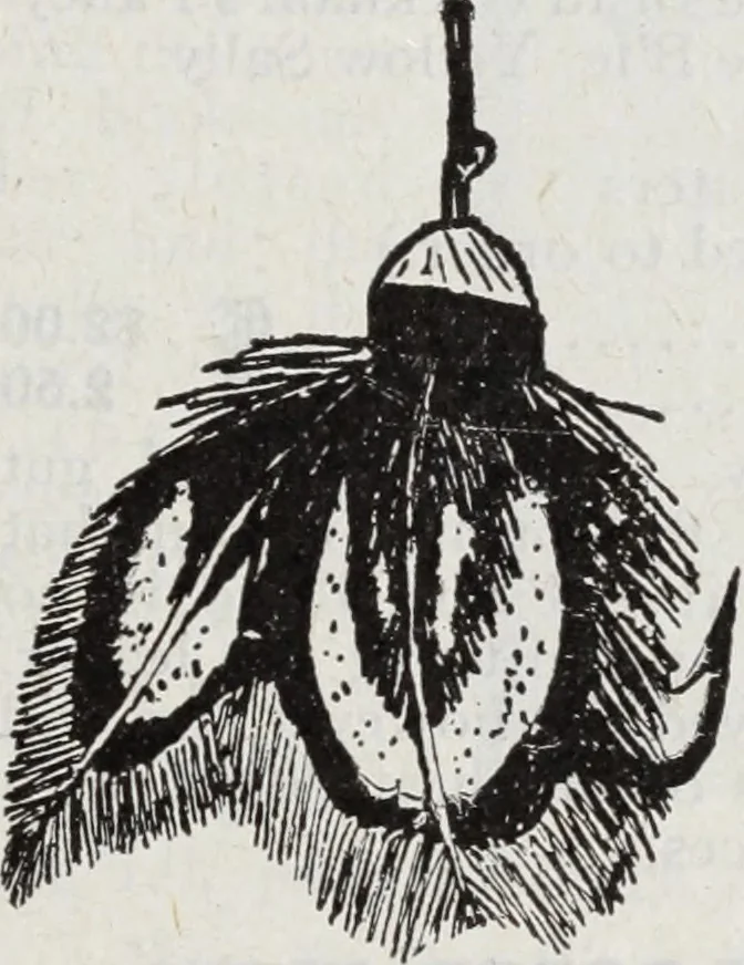 An illustration from Abercrombie & Fitch Co., New York : outfitting catalogue., 1916, leaf 114