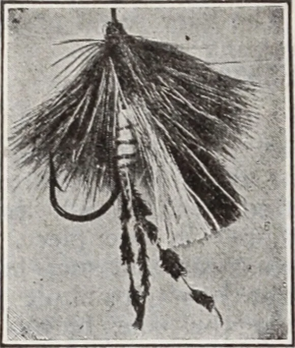 An illustration from Abercrombie & Fitch Co., New York : outfitting catalogue., 1916, leaf 115