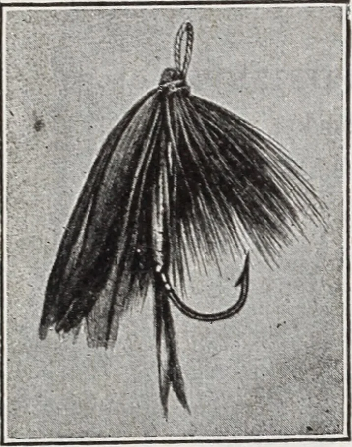 An illustration from Abercrombie & Fitch Co., New York : outfitting catalogue., 1916, leaf 115