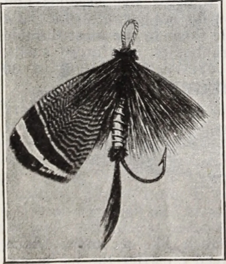 An illustration from Abercrombie & Fitch Co., New York : outfitting catalogue., 1916, leaf 115