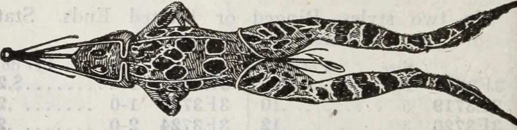 An illustration from Abercrombie & Fitch Co., New York : outfitting catalogue., 1916, leaf 125