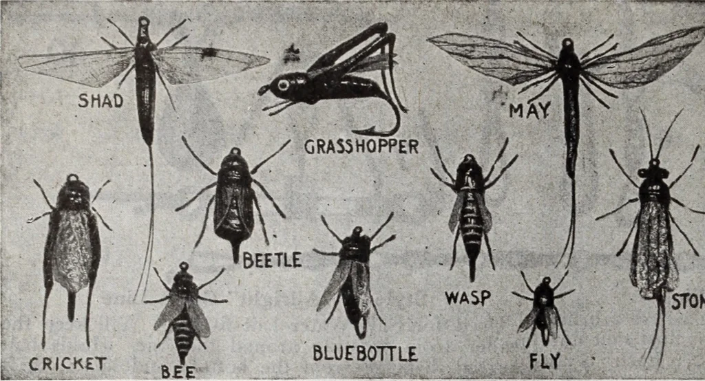 An illustration from Abercrombie & Fitch Co., New York : outfitting catalogue., 1916, leaf 127
