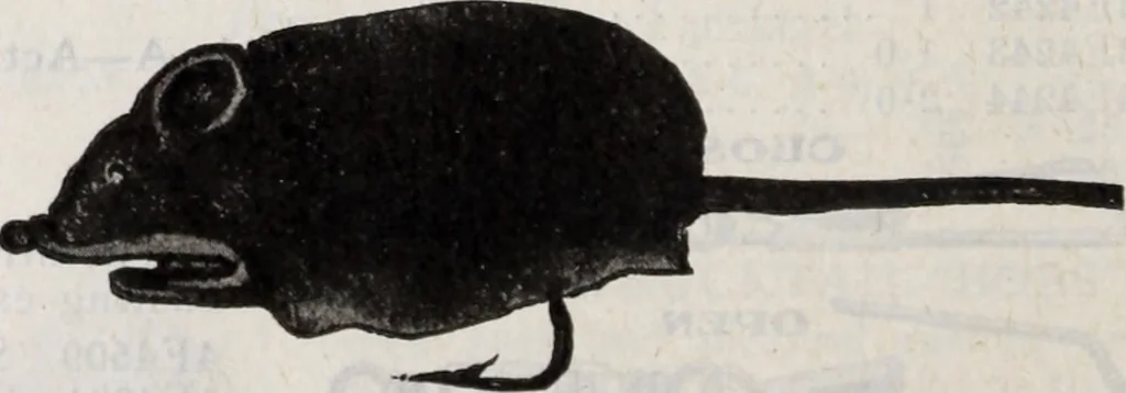 An illustration from Abercrombie & Fitch Co., New York : outfitting catalogue., 1916, leaf 127