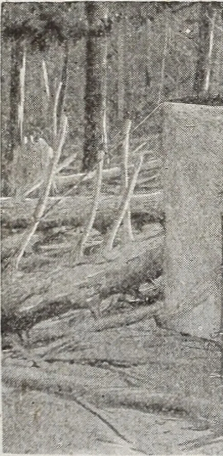 An illustration from Abercrombie & Fitch Co., New York : outfitting catalogue., 1916, leaf 13