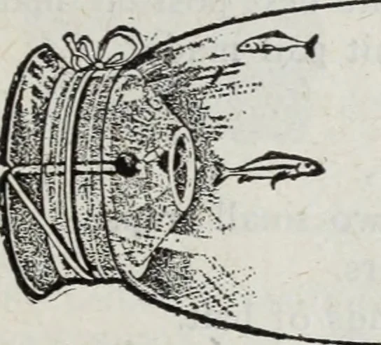 An illustration from Abercrombie & Fitch Co., New York : outfitting catalogue., 1916, leaf 138